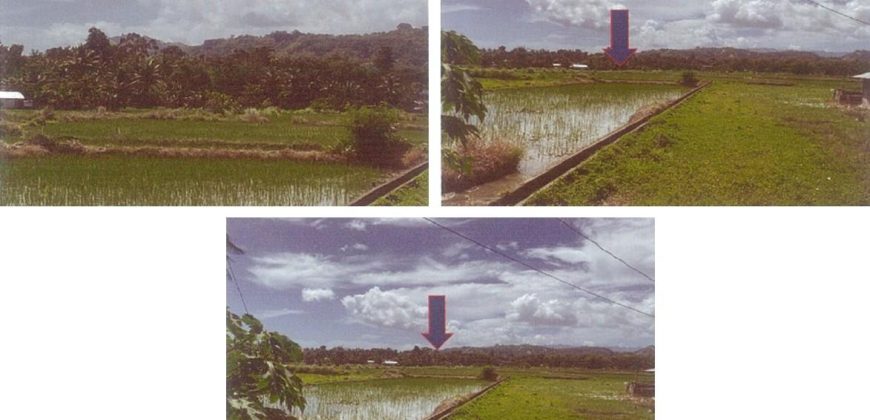 Foreclosed Agricultural Lot in Guindulman, Bohol · Lot 267 (PDIC)