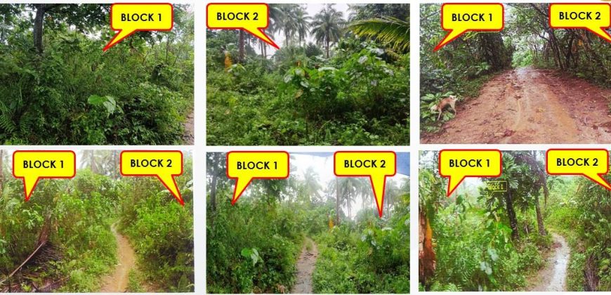 Foreclosed Residential Lot in Sta Elena, Camarines Norte · Lot 4 Blk. 2 (PDIC)