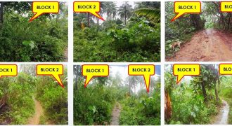 Foreclosed Residential Lot in Sta Elena, Camarines Norte · Lot 5 Blk. 2 (PDIC)