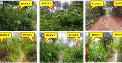 Foreclosed Residential Lot in Sta Elena, Camarines Norte · Lot 2 Blk. 1 (PDIC)