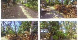 Foreclosed Residential Lot in Balayan, Batangas – Union St. (PDIC)