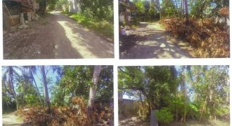 Foreclosed Residential Lot in Balayan, Batangas – Union St. (PDIC)