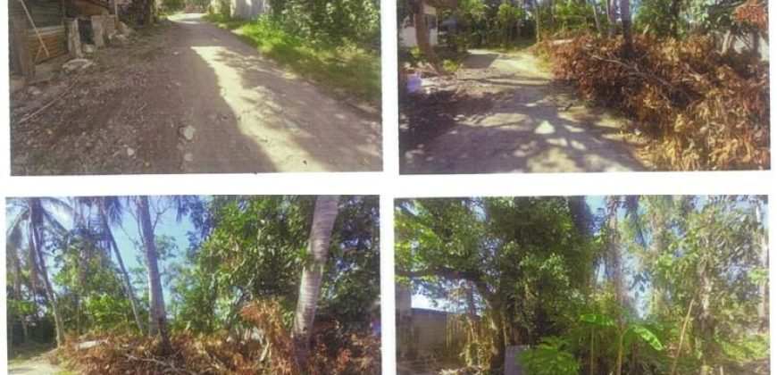 Foreclosed Residential Lot in Balayan, Batangas – Union St. (PDIC)