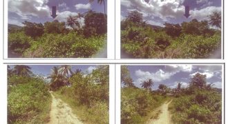 Foreclosed Agricultural Lot in Alicia, Bohol (PDIC)
