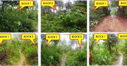 Foreclosed Residential Lot in Sta Elena, Camarines Norte · Lot 6 Blk. 1 (PDIC)