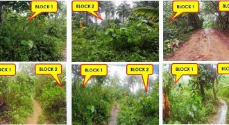 Foreclosed Residential Lot in Sta Elena, Camarines Norte · Lot 6 Blk. 1 (PDIC)