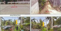 Foreclosed Agricultural Lot in Cortes, Bohol (PDIC)
