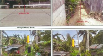Foreclosed Agricultural Lot in Cortes, Bohol (PDIC)