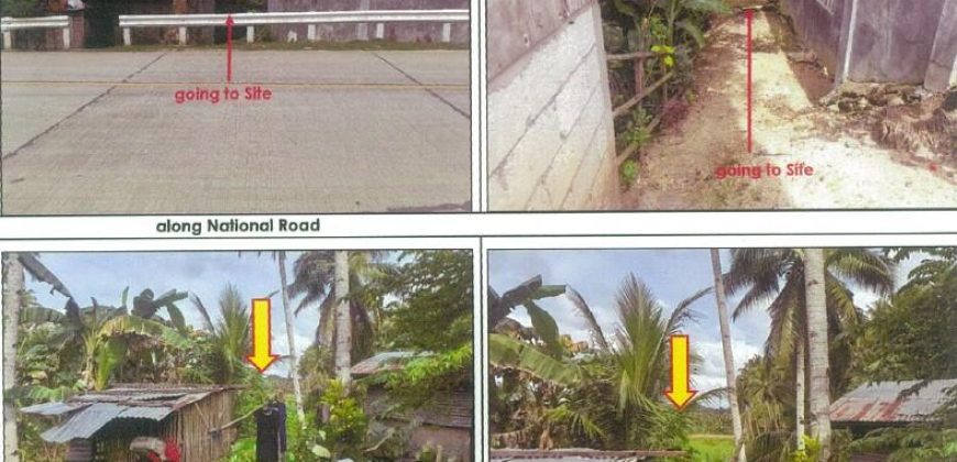 Foreclosed Agricultural Lot in Cortes, Bohol (PDIC)