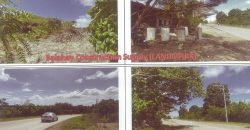 Foreclosed Agricultural Lot in Alicia, Bohol · Lot 2610-A (PDIC)