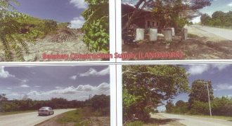 Foreclosed Agricultural Lot in Alicia, Bohol · Lot 2610-A (PDIC)