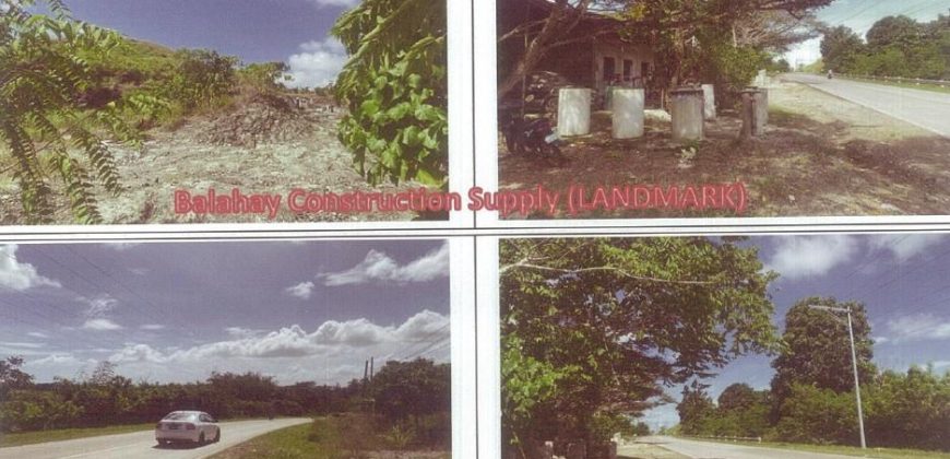 Foreclosed Agricultural Lot in Alicia, Bohol · Lot 2610-A (PDIC)