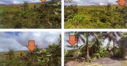 Foreclosed Agricultural Lot in Legazpi City, Albay (PDIC)
