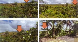 Foreclosed Agricultural Lot in Legazpi City, Albay (PDIC)