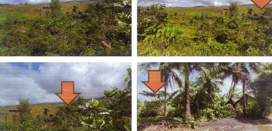 Foreclosed Agricultural Lot in Legazpi City, Albay (PDIC)