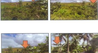 Foreclosed Agricultural Lot in Legazpi City, Albay · Lot 15251 (PDIC)