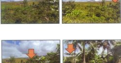 Foreclosed Agricultural Lot in Legazpi City, Albay · Lot 15252 (PDIC)