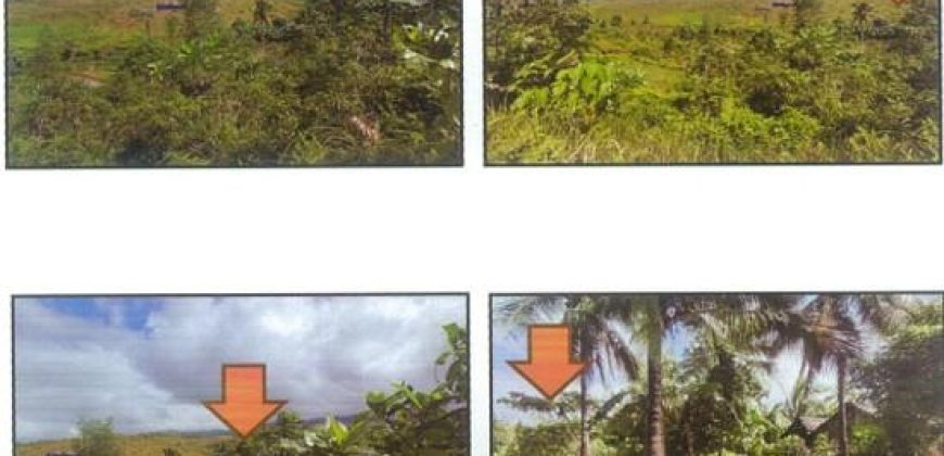 Foreclosed Agricultural Lot in Legazpi City, Albay · Lot 15252 (PDIC)