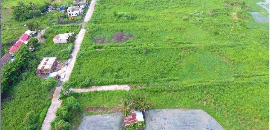 Foreclosed Residential Lot in Canaman, Camarines Sur – Leticia heights Subd. · Lot 16 Blk 8 (PDIC)