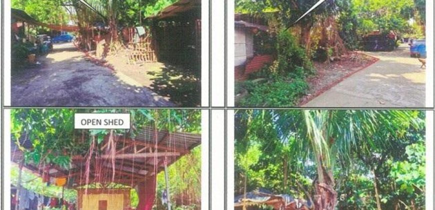 Foreclosed Property in San Pablo City, Laguna · Lot 1 Blk. 3 (PDIC)