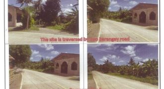 Foreclosed Property in Alicia, Bohol (PDIC)