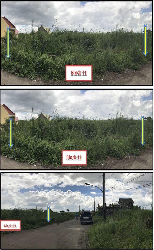 Foreclosed Residential Lot in Canaman, Camarines Sur