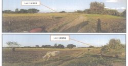 Foreclosed Agricultural Lot in Mangatarem, Pangasinan · Lot 18359 (PDIC)