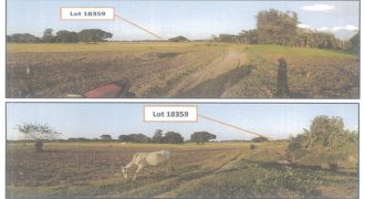 Foreclosed Agricultural Lot in Mangatarem, Pangasinan · Lot 18359 (PDIC)