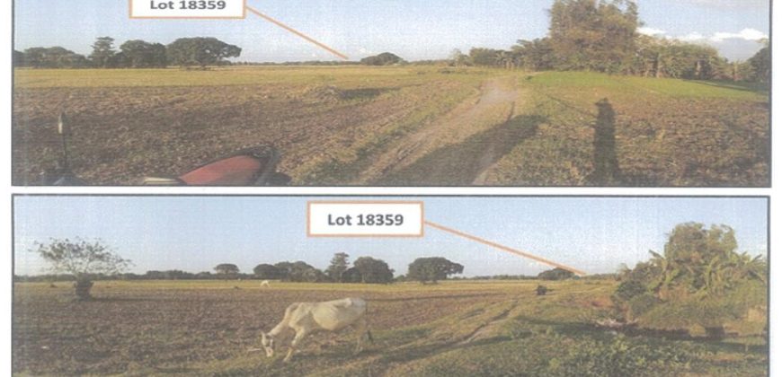 Foreclosed Agricultural Lot in Mangatarem, Pangasinan · Lot 18359 (PDIC)