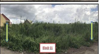 Foreclosed Residential Lot in Canaman, Camarines Sur, Luzon #31