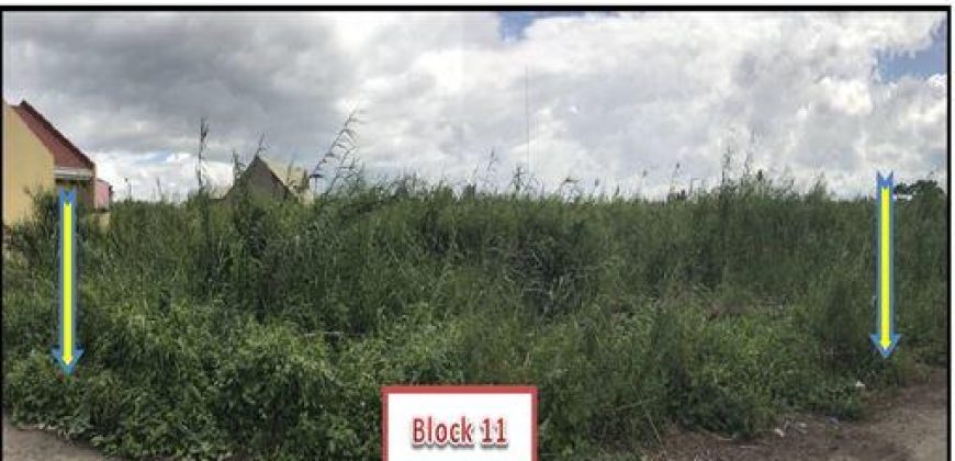 Foreclosed Residential Lot in Canaman, Camarines Sur – Leticia Heights subd. · Lot 9 Blk 11 (PDIC)