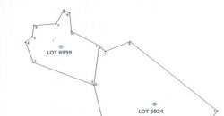 Foreclosed Agricultural Lot in City Of Ligao, Albay (PDIC)