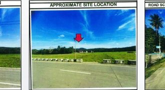 Foreclosed Agricultural Lot in Odiongan, Romblon (PDIC)