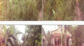 Foreclosed Agricultural Lot in San Pascual, Batangas (PDIC)