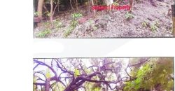 Foreclosed Property in Alcoy, Cebu