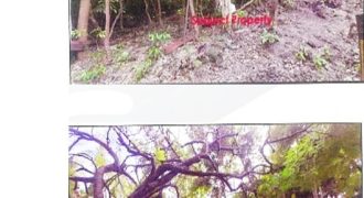 Foreclosed Property in Alcoy, Cebu