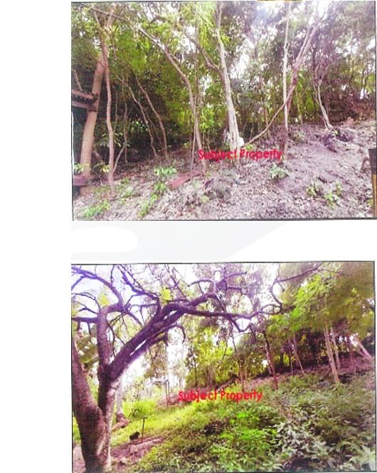 Foreclosed Property in Alcoy, Cebu