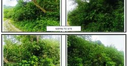 Foreclosed Agricultural Lot in San Agustin, Romblon (PDIC)