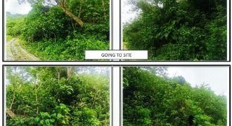Foreclosed Agricultural Lot in San Agustin, Romblon (PDIC)