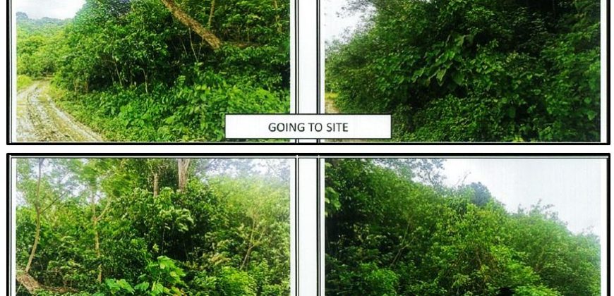 Foreclosed Agricultural Lot in San Agustin, Romblon (PDIC)