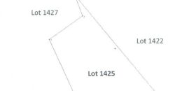 Foreclosed Agricultural Lot in Jovellar, Albay (PDIC)