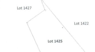 Foreclosed Agricultural Lot in Jovellar, Albay (PDIC)