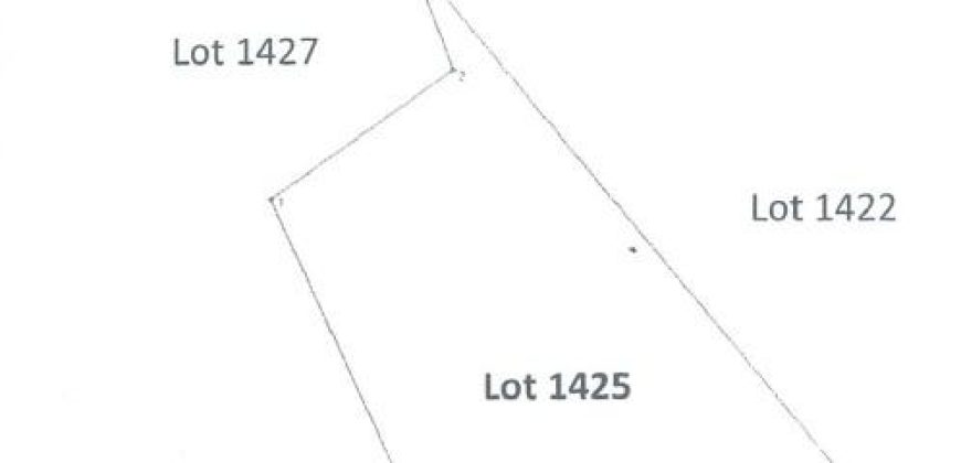 Foreclosed Agricultural Lot in Jovellar, Albay (PDIC)
