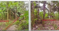 Foreclosed Residential Lot in Tagbilaran City, Bohol · Lot 3476-B Blk.6 (PDIC)