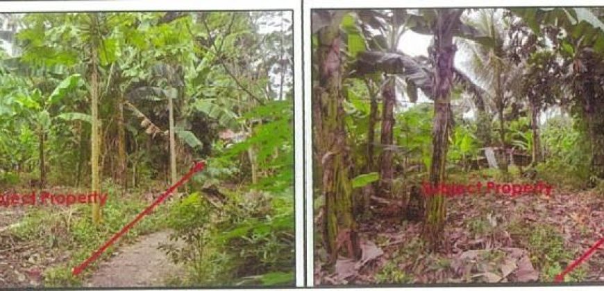 Foreclosed Residential Lot in Tagbilaran City, Bohol · Lot 3476-B Blk.6 (PDIC)