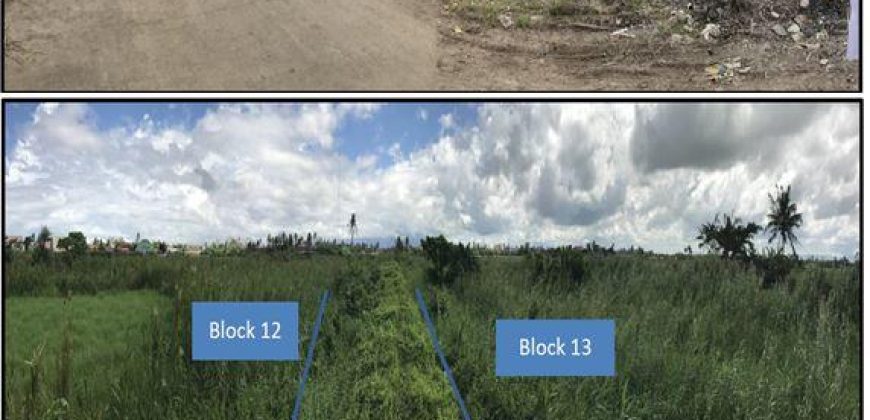 Foreclosed Residential Lot in Canaman, Camarines Sur – Leticia Heights Subd. · Lot 4 Blk 12 (PDIC)