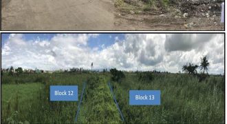 Foreclosed Residential Lot in Canaman, Camarines Sur, Luzon #21