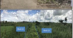 Foreclosed Residential Lot in Canaman, Camarines Sur – Leticia Heights Subd. · Lot 11 Blk 12 (PDIC)