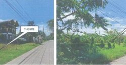 Foreclosed Residential Lot in Tiaong, Quezon – Greenville Subd. (PDIC)