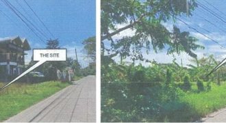 Foreclosed Residential Lot in Tiaong, Quezon – Greenville Subd. (PDIC)
